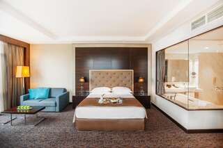 Отель The Biltmore Tbilisi Hotel Тбилиси Представительский люкс-1