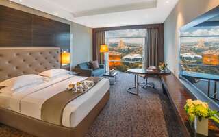 Отель The Biltmore Tbilisi Hotel Тбилиси Номер Делюкс-9